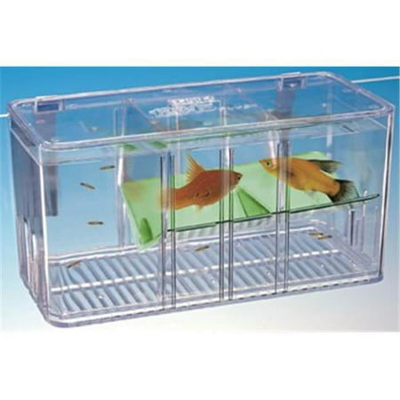 Penn Plax BT5 Five/Plus Breeder- Nursery- Display Tank