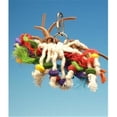 thumbnail image 1 of Penn Plax Bird Life Leather-Kabob Parakeet Toy, 1 of 3