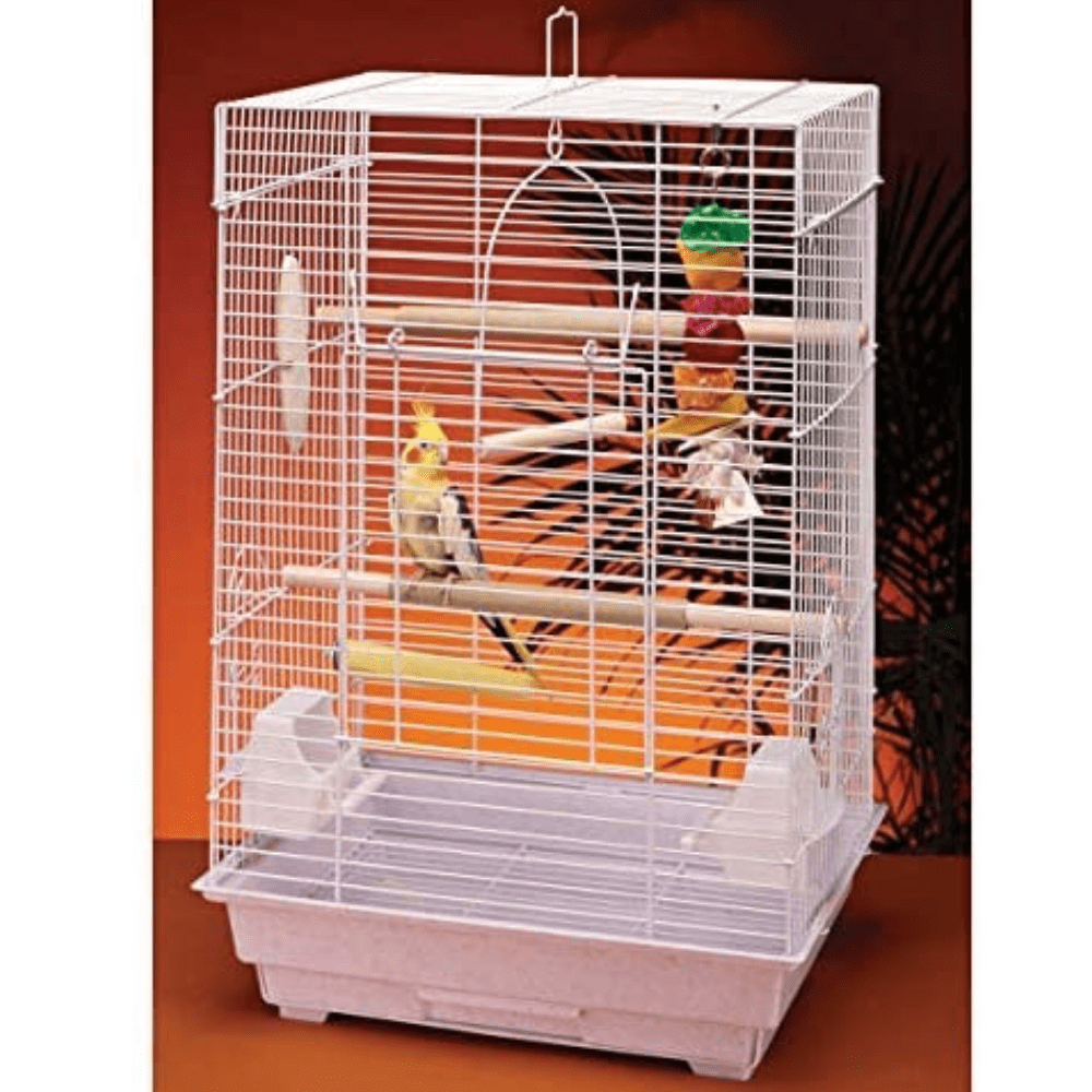 Illustration of Cockatiel Bird Cage Kit Beginner