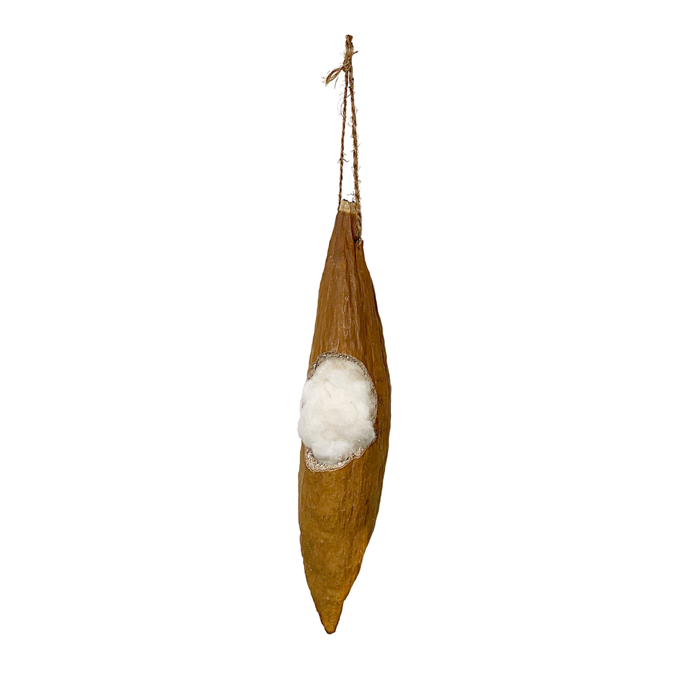 PennPlax Kapok Pod for Small Animals Great for Chewing and Nesting