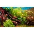 thumbnail image 1 of Penn Plax LB6 Lenticular Background 10g Fresh Water 3d Depth, 1 of 3