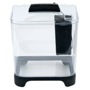 Penn-Plax NuWave Plastic Betta Fish Tank Kit   Black   1.5 Gallon Capacity Aquarium