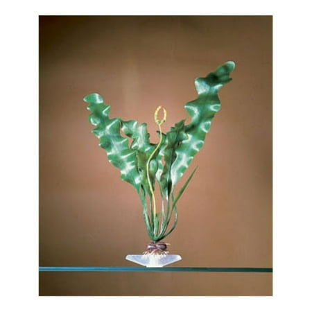 Penn Plax P11L Plant Aqua Medium Ambulia