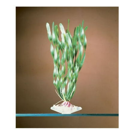 Penn-Plax P17L Aqua Corkscrew Plant, Large