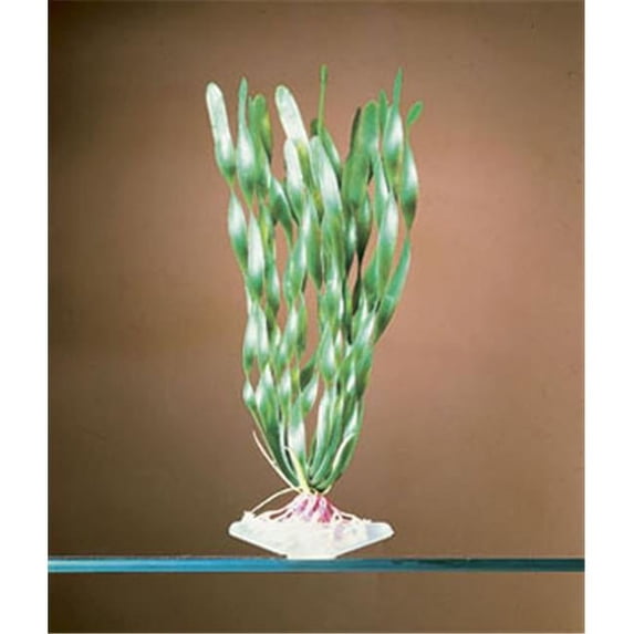 Penn Plax P17S 7 in. Corkscrew Vallis Aquarium Plant