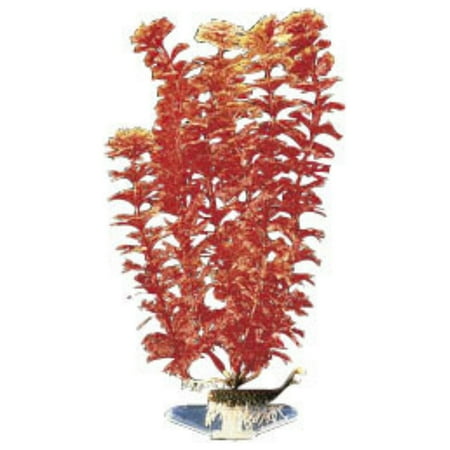 Penn Plax P18SR Red Ambulia Plant - Small