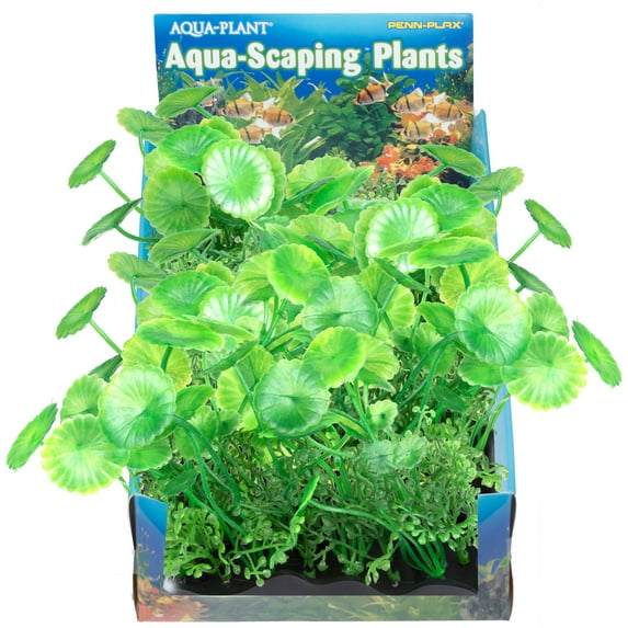 Penn-Plax Pennywort Aqua-Scaping Bunch Plant, Green 4" inches Small Aquarium Plant Decoration