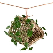 Penn-Plax Reptology Lizard Lounger Hanging Hideout with Vines, 100% Real Coconut and Natural Seagrass