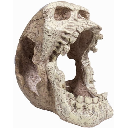 Penn-Plax Reptology Skull Hide-Away – Great for Small and Medium Sized Reptiles - For Terrariums and Tanks