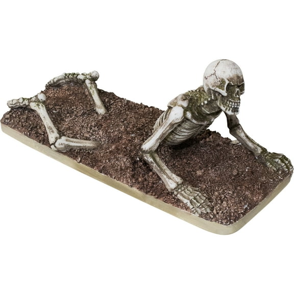 Penn-Plax Small Skeleton Resin Aquariums Decor for Fish Tanks and Terrariums - 5.35" Long