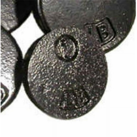 Penn Scale 1 LB WT Cast Iron Weight - Metal