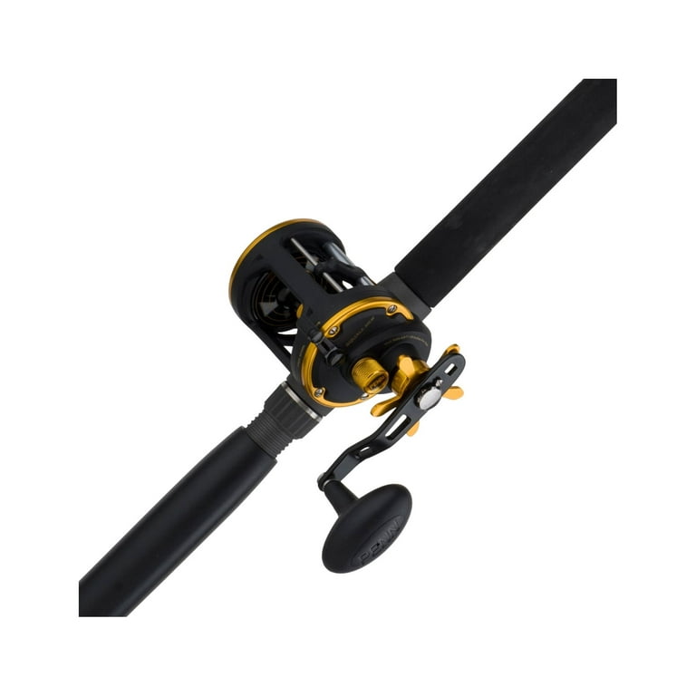 Penn Squall Level Wind Conventional Reel and Fishing Rod Combo 