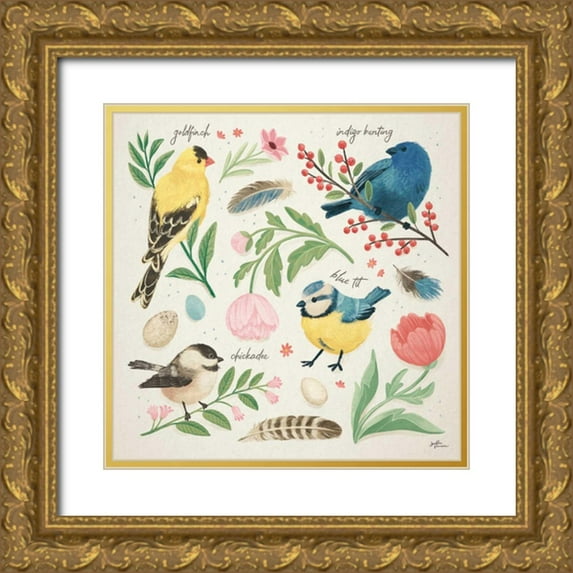 Penner, Janelle 15x15 Gold Ornate Wood Framed with Double Matting Museum Art Print Titled - Bird Study II