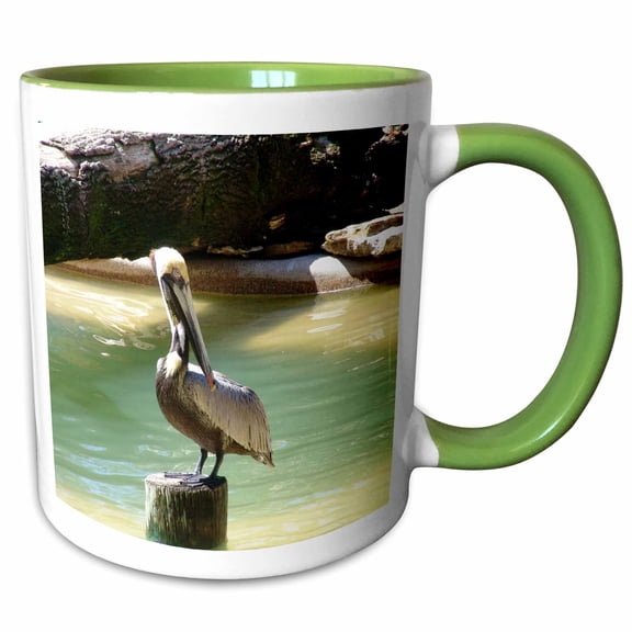 3drose, Penney the Pelican, 11oz Two-tone Green Mug