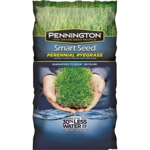 Pennington 100526658 Smart Seed Rye Grass