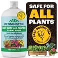 thumbnail image 1 of Pennington Easy-Dose AP Indoor Plant Food 2-3-2 Fertilizer 32oz, 1 of 12