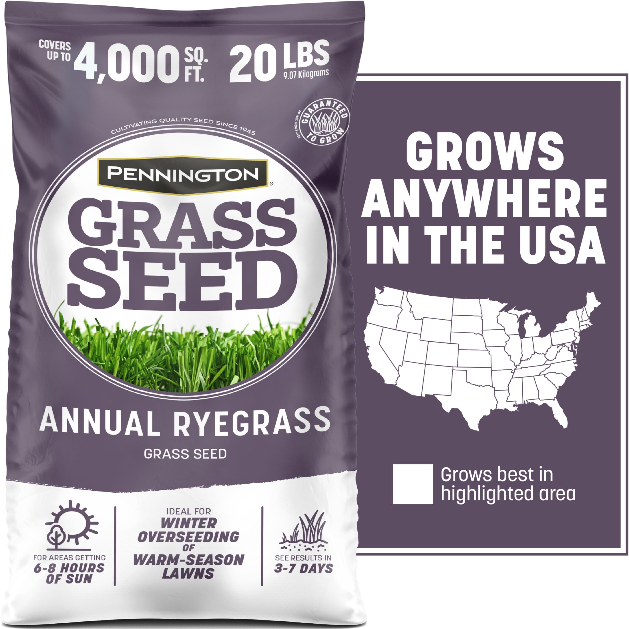 Pennington Annual Ryegrass Grass Seed, 20lb, Full Sun to Partial Shade, Rye Grass Seeds for Lawn, 1 Bag