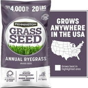 Pennington Annual Ryegrass Grass Seed, for Sun to Partial Shade, 20 lb.