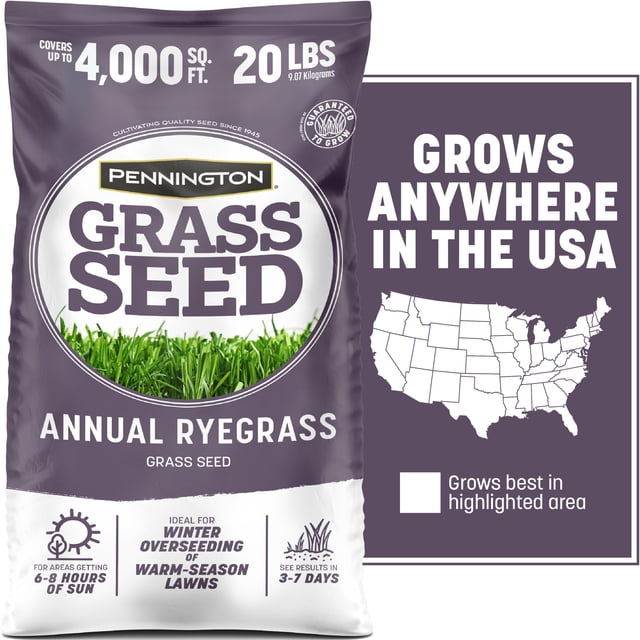 Pennington Pennington Annual Ryegrass Grass Seed, 20lb, Full Sun to Partial Shade ...