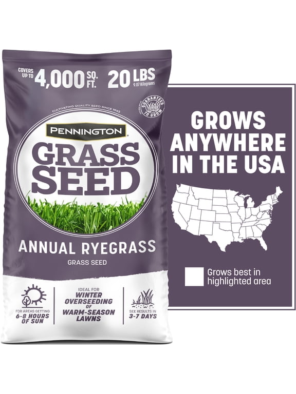 Annual Ryegrass Grass Seed, 20lb, Full Sun to Partial Shade, Rye Grass Seeds for Lawn, 1 Bag