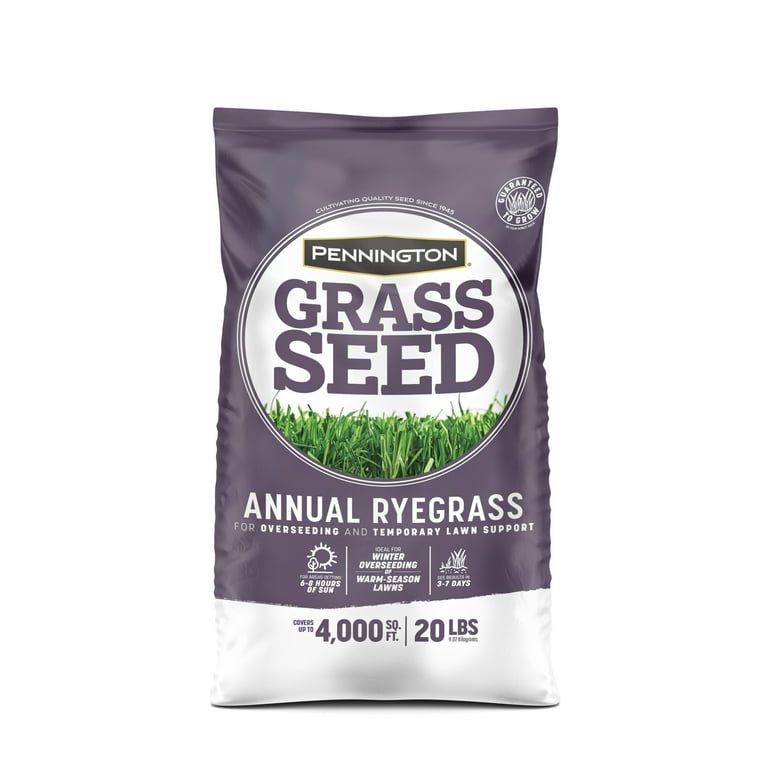 Pennington Annual Ryegrass; 20 lbs Pennington Annual Ryegrass; 20 lbs