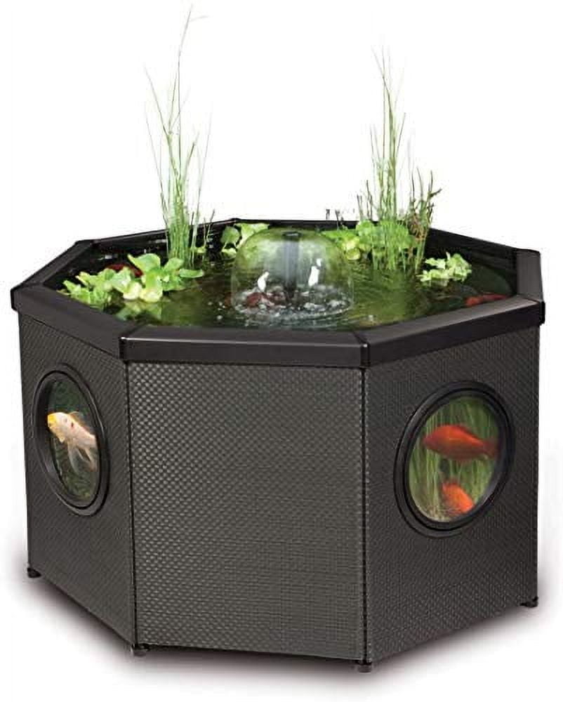 Black Octagonal Raised Window Pond Kit with LED Illumination