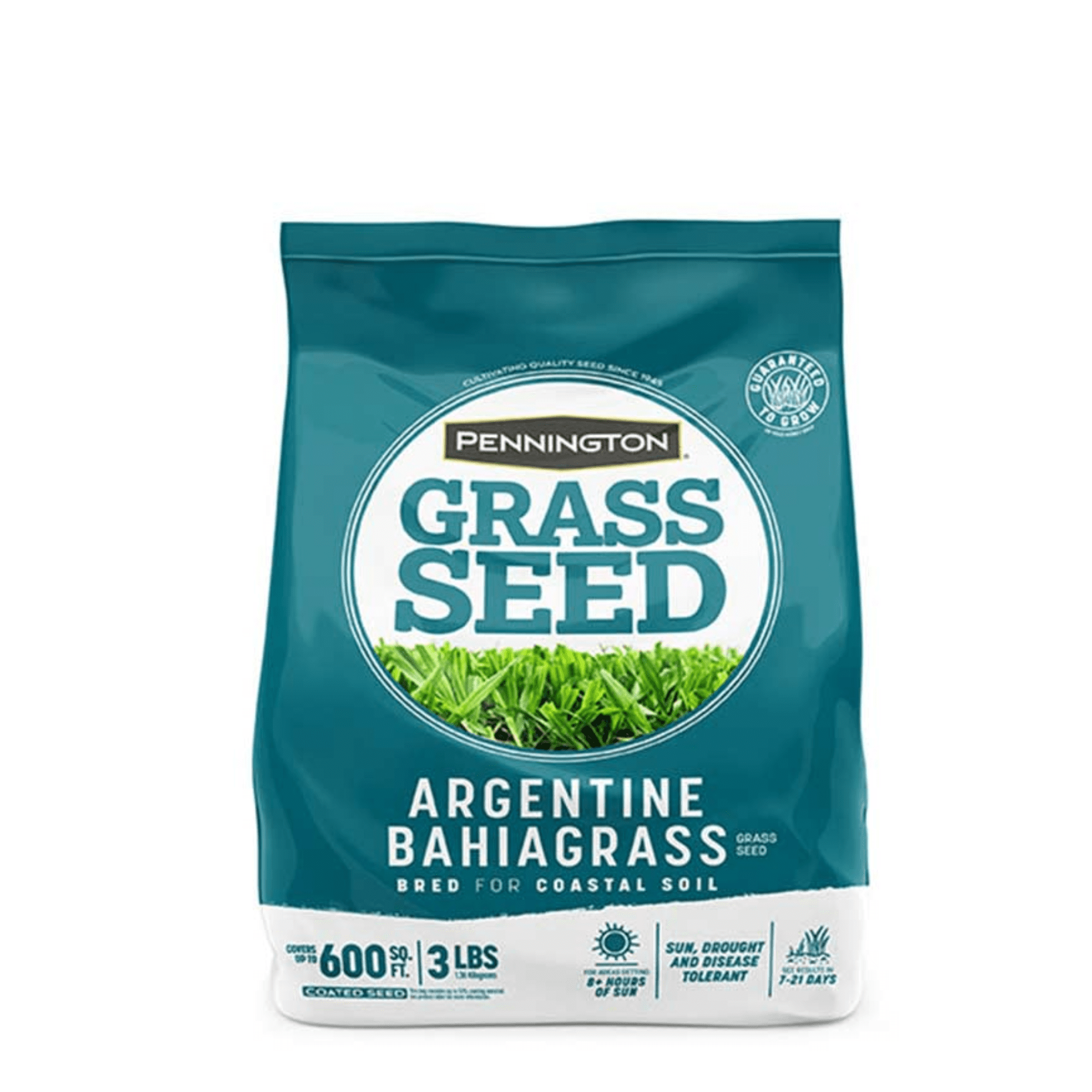 Pennington Argentine Bahiagrass Grass Seed, for Full Sun, 3 lb