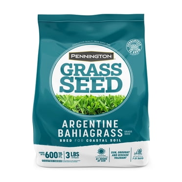 (2 pack) Pennington Argentine Bahiagrass Grass Seed, for Full Sun, 3 lb ...