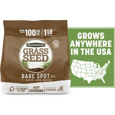 Pennington Bare Spot Grass Seed Mix, for Sun to Partial Shade, 1 lb.