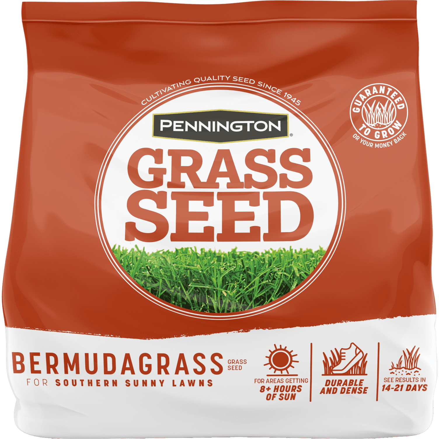 Pennington Bermudagrass Grass Seed, Full Sun, 1lb. 1 Bag