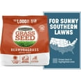 thumbnail image 1 of Pennington Bermudagrass Grass Seed, Full Sun, 1lb. 1 Bag, 1 of 11