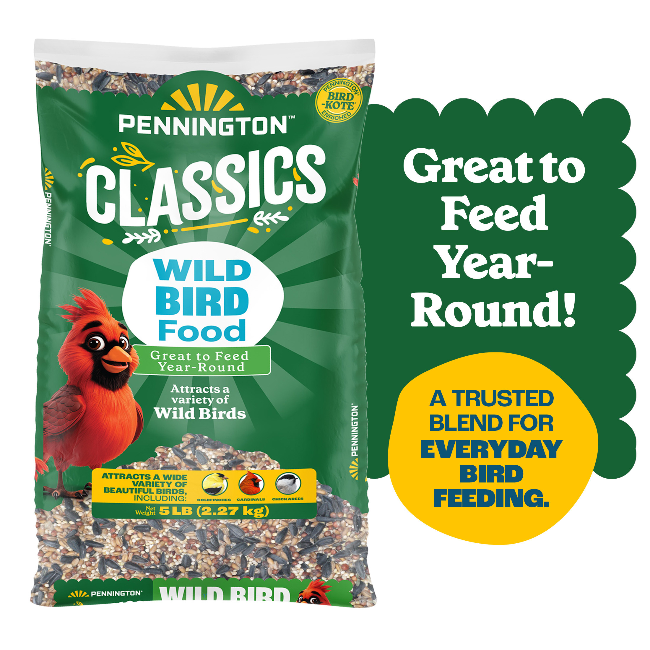 Pennington Classic Dry Wild Bird Feed And Seed 10 Lb Bag 1 Pack: Pros, Caveats, and Pricing