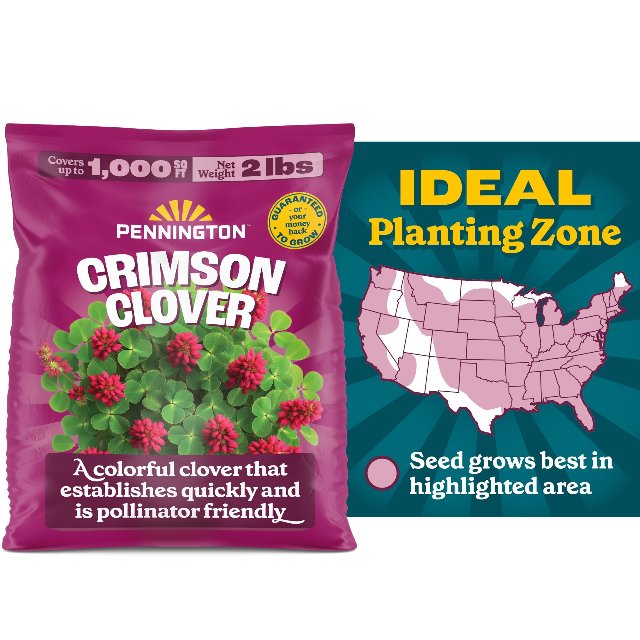 Pennington Pennington Crimson Clover 2 Pounds