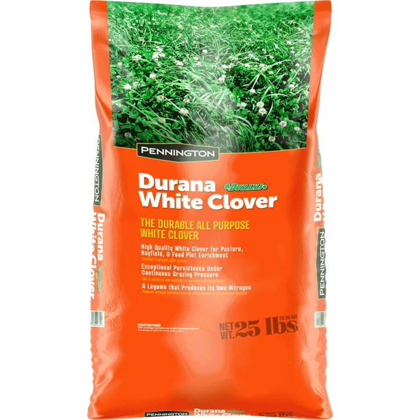 Pennington Durana Perennial White Clover Grass Seed, 25lb