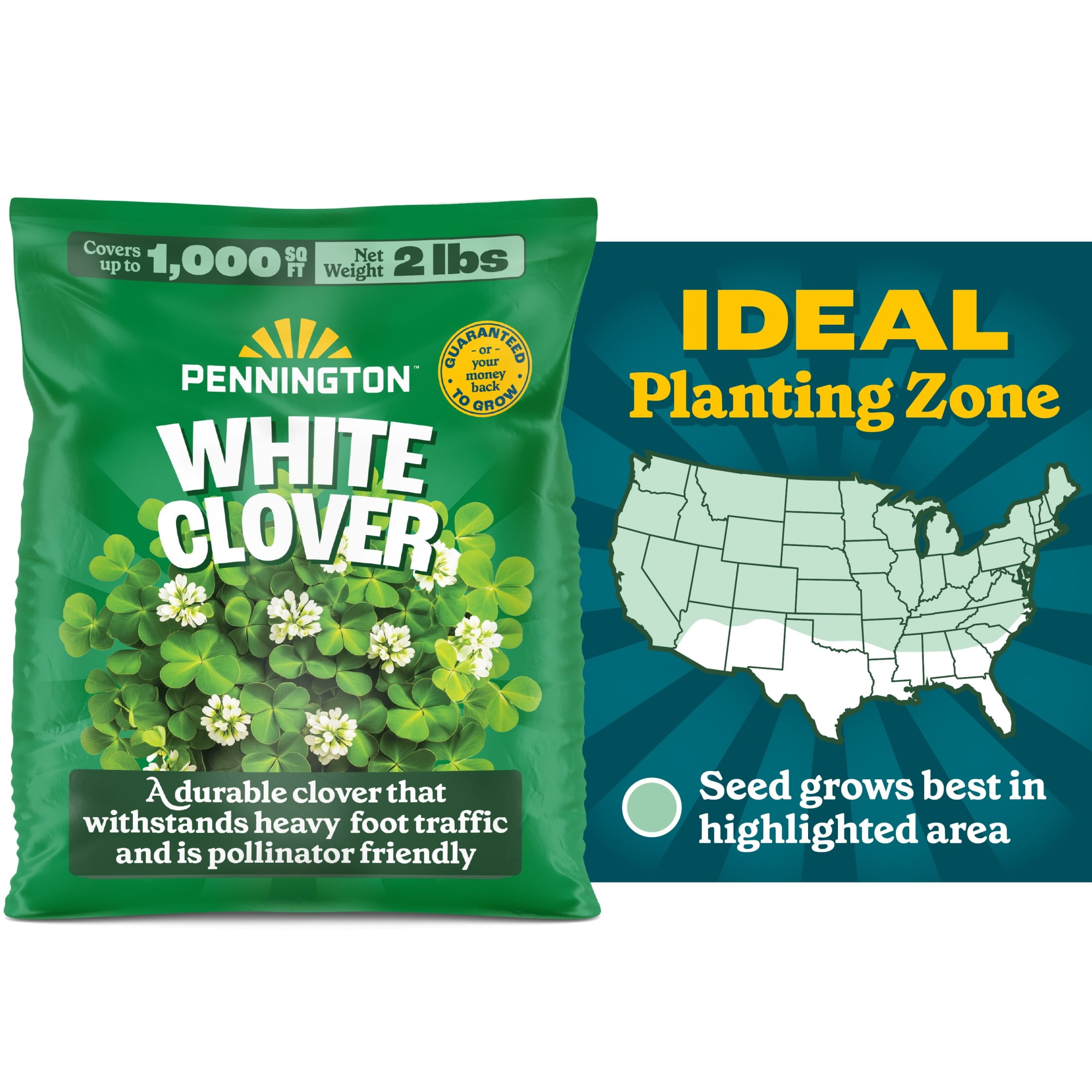 Pennington  White Clover Seed, 2lb