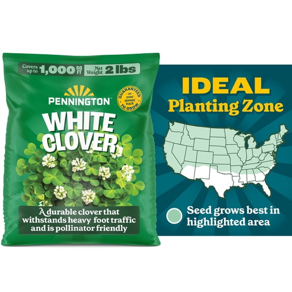 Pennington White Clover Seed, 2lb
