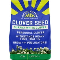 Pennington Durana White Clover Seed, 2lb