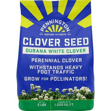 Pennington Durana White Clover Seed, 2lb