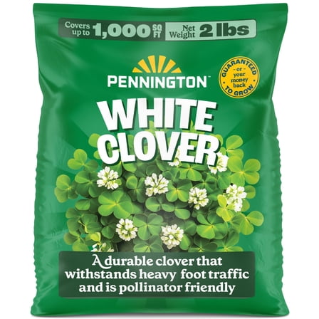 Pennington Durana White Clover Seed, 2lb