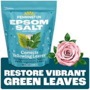 Pennington Epsom Salt Plant Food Fertilizer, 7 lb