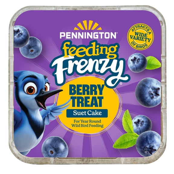 Pennington Feeding Frenzy Berry Treat Suet Cake, 11.75 oz, Suet Cakes for Wild Birds, Wild Bird Food, 1 Pack, Fresh