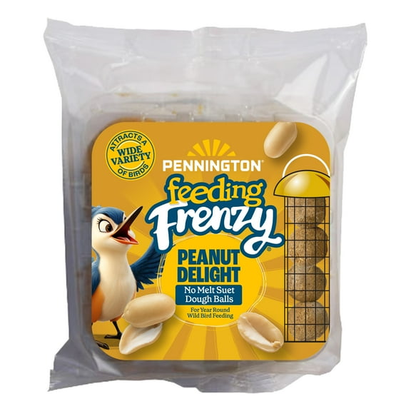 Pennington Feeding Frenzy No-Melt Peanut Delight Suet Balls for Bird Feeders, Wild Bird Food, 1 lb, 1 Pack, Fresh