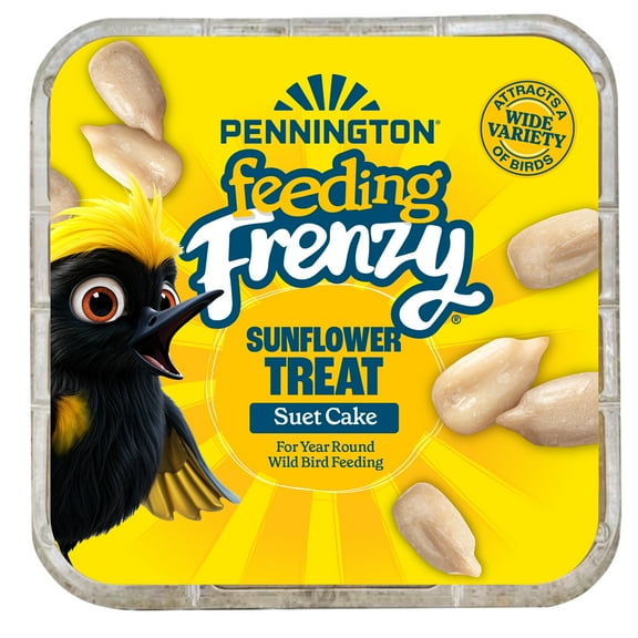 Pennington Feeding Frenzy Sunflower Suet Treat Cake 11 oz, Wild Bird Food, Suet Cakes for Wild Birds, 1 Pack, Fresh