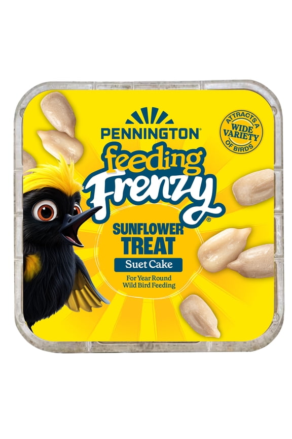 Feeding Frenzy Sunflower Suet Treat Cake 11 oz, Wild Bird Food, Suet Cakes for Wild Birds, 1 Pack, Fresh