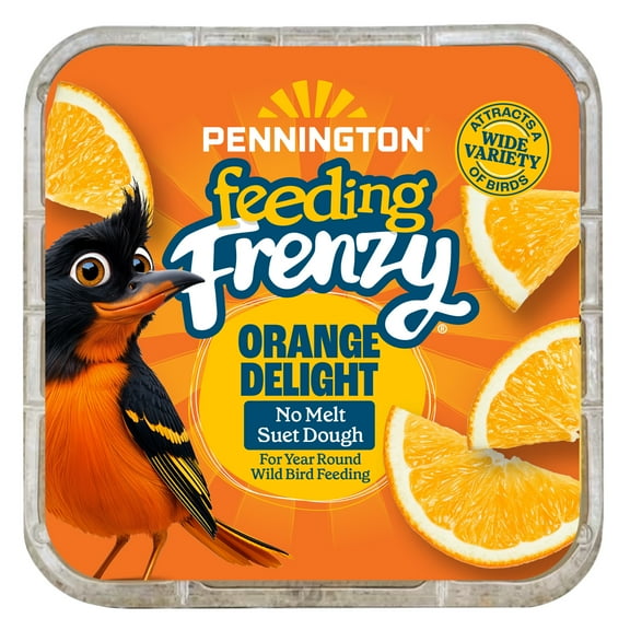 Pennington Feeding Frenzy Orange Delight Suet, 11.75 oz Cake, Wild Bird Food, Suet Cakes for Wild Birds, 1 Pack, Fresh