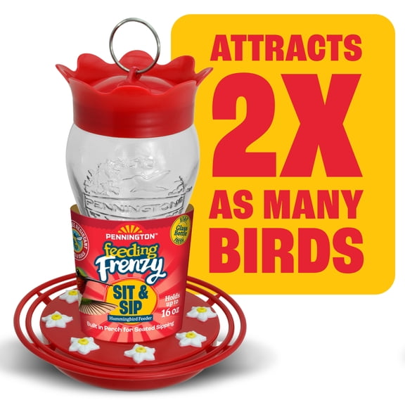 Pennington Glass Red Hummingbird Feeder, 16 oz Nectar Capacity