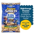 thumbnail image 1 of Pennington Recipe Selects Peanuts in Shell for Birds, Wildlife and Wild Bird Food, 5 lb. Bag, Dry, 1 Pack, 1 of 21