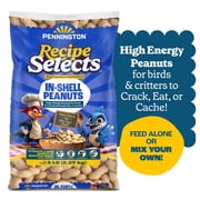 Pennington Recipe Selects Peanuts in Shell for Birds, Wildlife and Wild Bird Food, 5 lb. Bag, Dry, 1 Pack