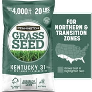 Pennington Kentucky 31 Tall Fescue Grass Seed, for Sun to Partial Shade, 20 lb.