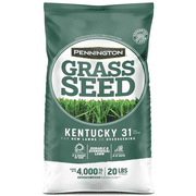 Pennington Kentucky 31 Tall Fescue Grass Seed, for Sun to Partial Shade, 20 lb.